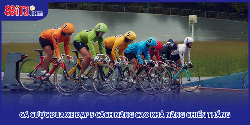 Cá Cược Đua Xe Đạp 5 Cách Nâng Cao Khả Năng Chiến Thắng