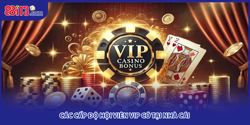 Các cấp độ hội viên VIP có tại nhà cái