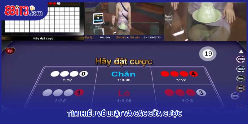 Tìm hiểu về luật và các cửa cược