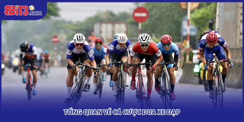 Tổng quan thông tin về cá cược đua xe đạp trực tuyến